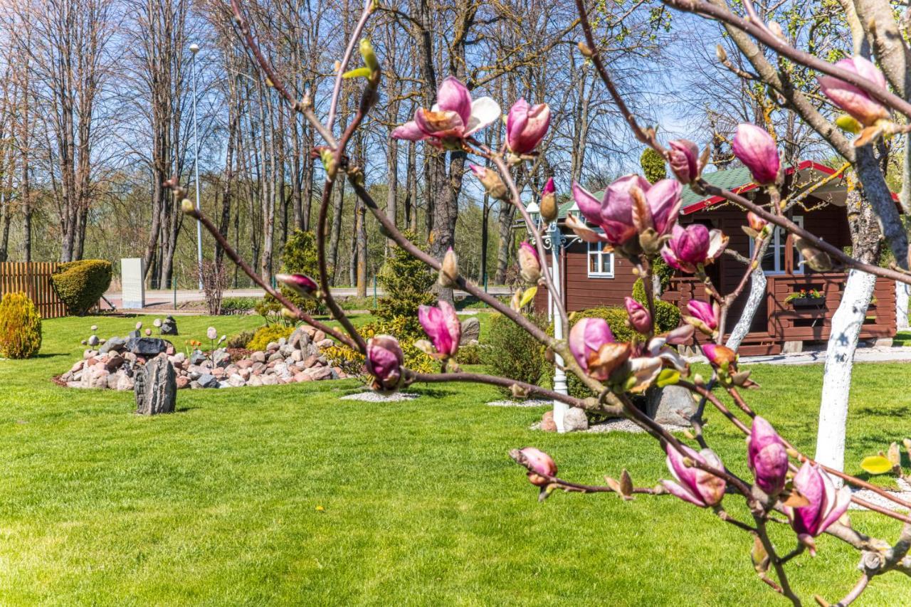 Villa Zaliasis Kampas Nameliai Sventojoje à Šventoji Extérieur photo
