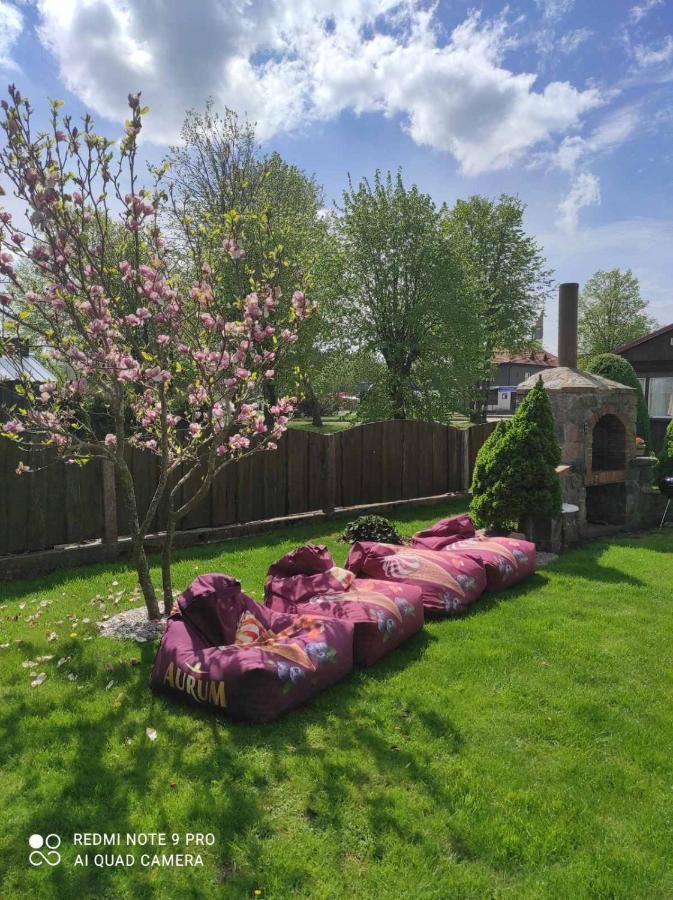 Villa Zaliasis Kampas Nameliai Sventojoje à Šventoji Extérieur photo